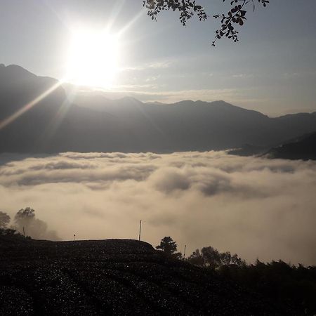 Alishan Shanyunhua B&B Homestay Meishan Eksteriør billede