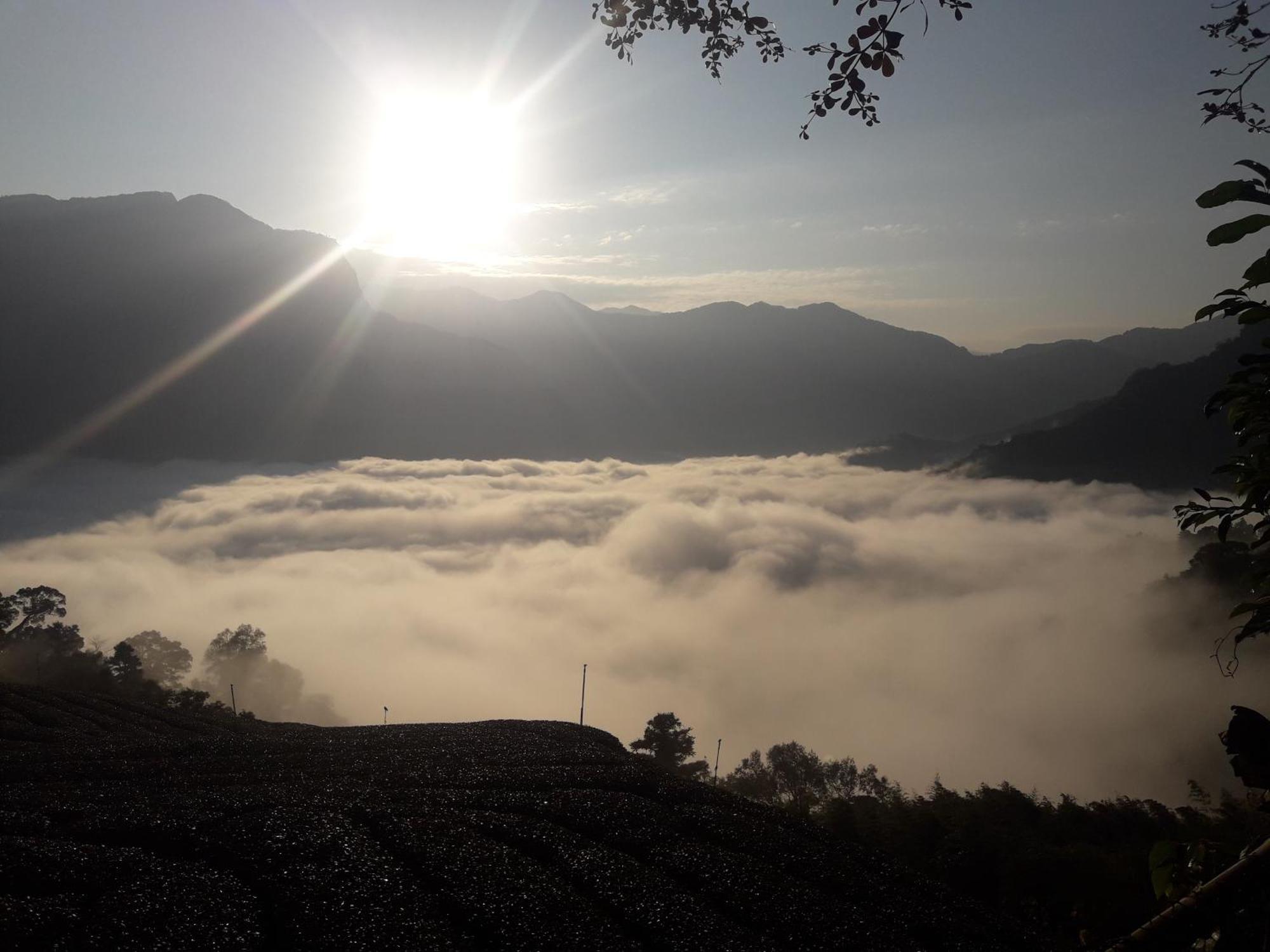 Alishan Shanyunhua B&B Homestay Meishan Eksteriør billede