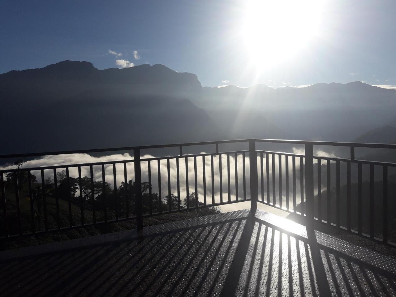 Alishan Shanyunhua B&B Homestay Meishan Eksteriør billede